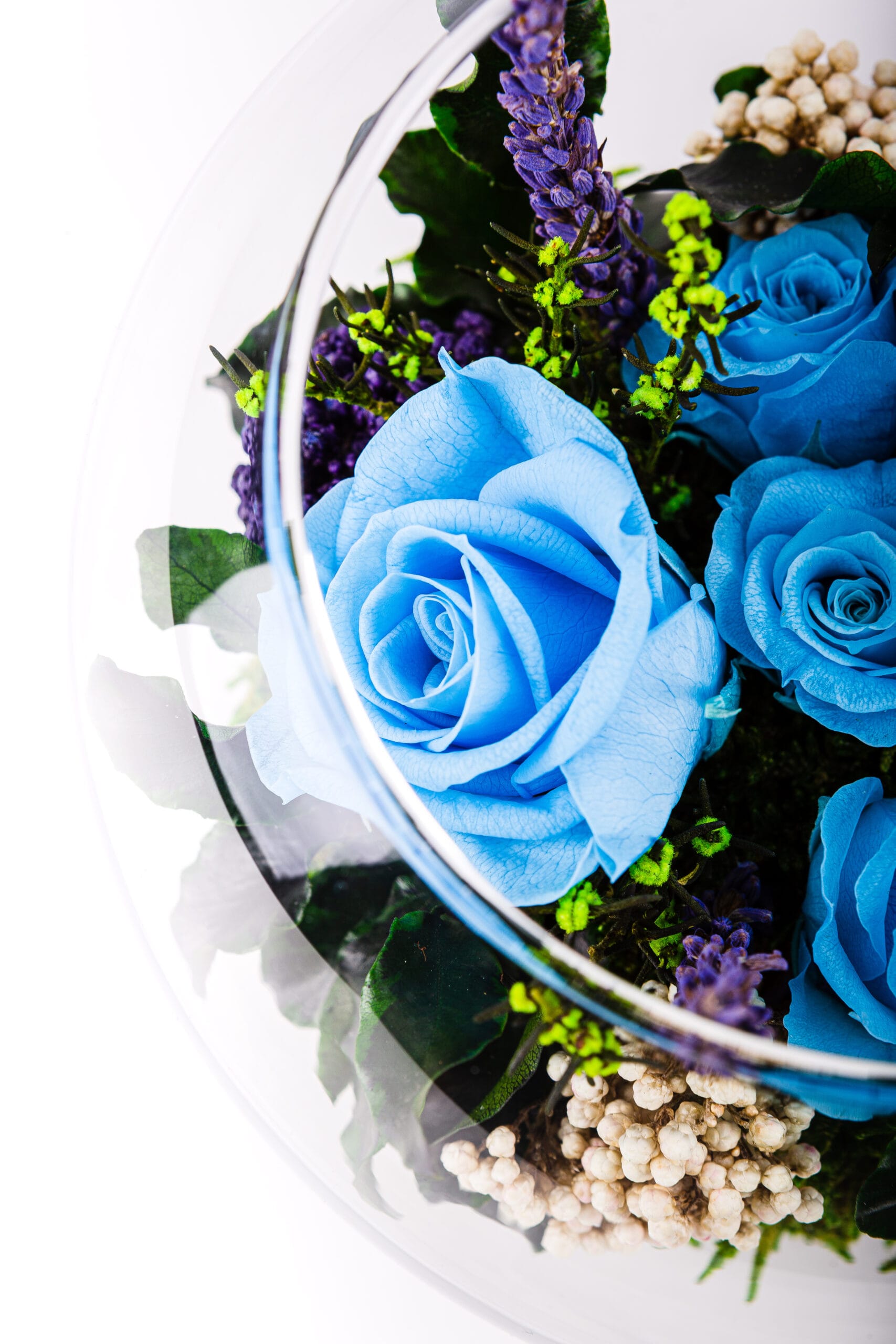 Konservierte Blaue Rose Im Glas – Haltbare Deko Mit Wow-Effekt!